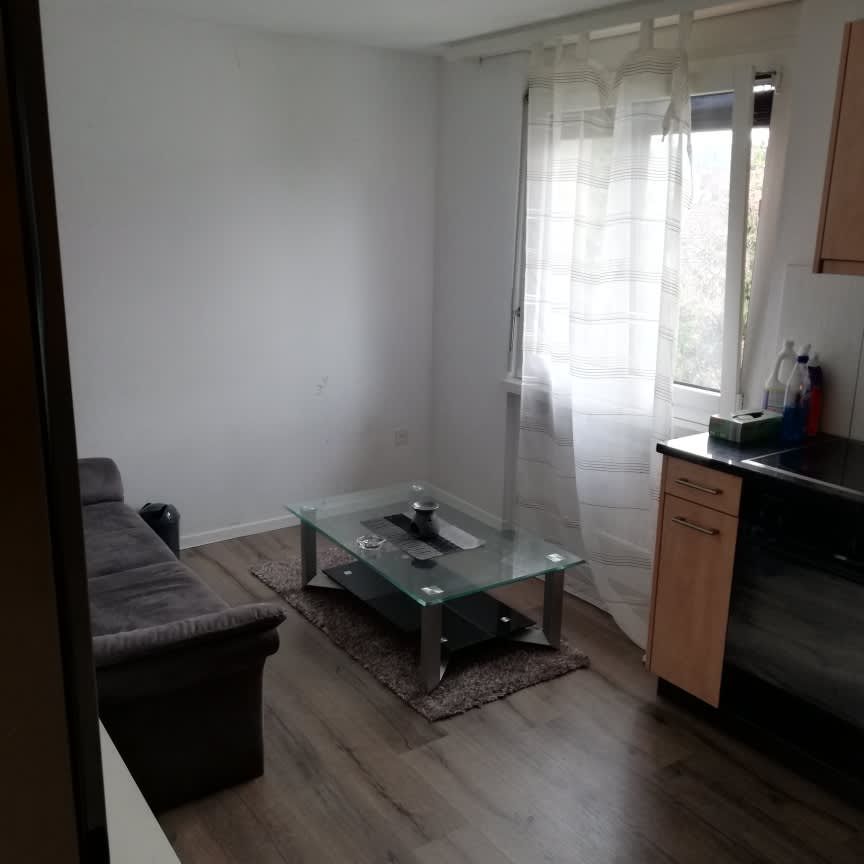 2.5 Zimmer, 45 m² - Photo 1