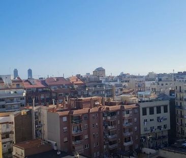 Carrer de Mallorca, Barcelona, Catalonia 08013 - Photo 6