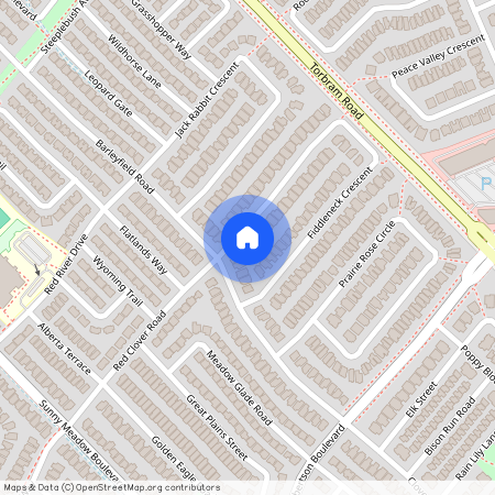 100 Fiddleneck Crescent, Brampton