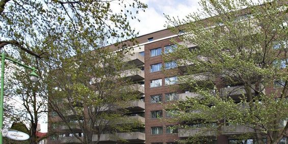 1 Bedroom - 50 Avenue Willowdale, Montréal - Photo 3