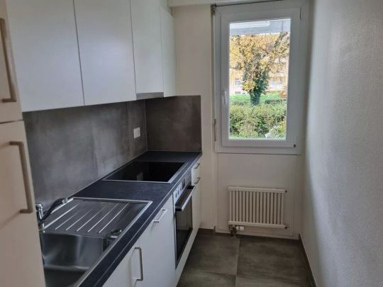 Sympatique 2 pièces rénové avec goût et terrasse privative - Photo 1