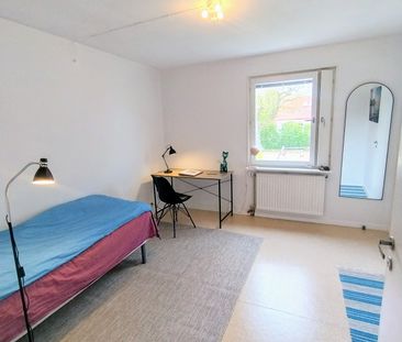 Skolkvior, Klintehamn - Foto 4