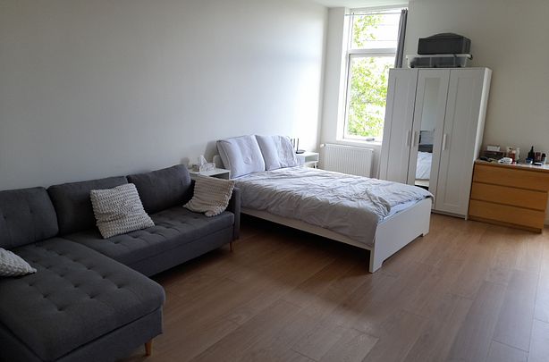 Per direct beschikbaar: Gerenoveerd 2-kamer appartement in Nieuwegein - Foto 1