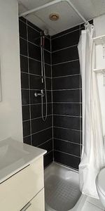 Location Appartement 1 pièce 15m² ST SAULVE 59880 - Photo 4