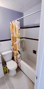 Superbe et chaleureux 3 1/2 PLATEAU MONT-ROYAL, ÉLECTROS/MEUBLES DISPONIBLES AU BESOIN - Photo 4