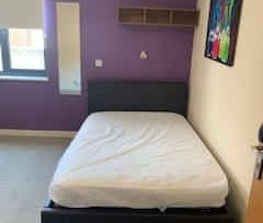 Premier Luxe En-Suite Behn Hall - Photo 3