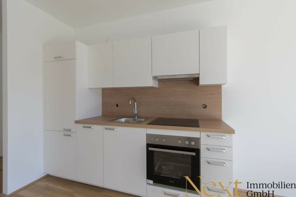 Moderne 1-Zimmer-Wohnung mit Balkon nähe Hummelhofwald in Linz zu vermieten! (Top 1.11) - Foto 1