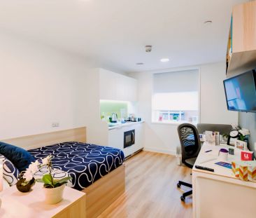 Premium Plus Studio - Photo 2