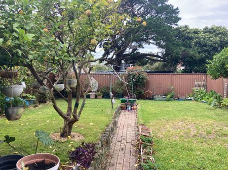 Marrickville - Photo 5