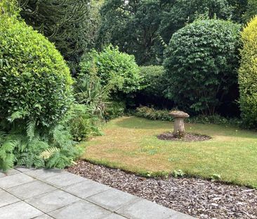 1 bedroom mews to rent - Photo 1