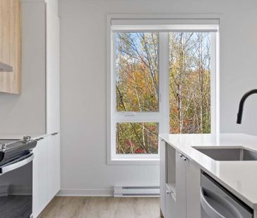 appartement 4 1/2 à louer - Photo 2