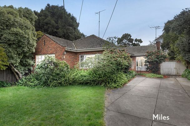 50 Lantana Street, Ivanhoe - Photo 1