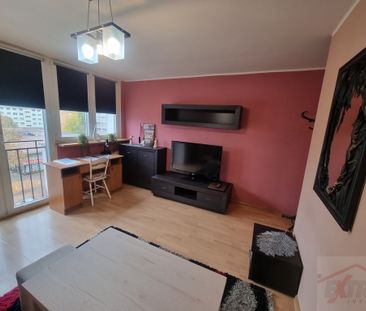 Kawalerka w centrum przy Galaxy, wynajem !!! (436990) - Zdjęcie 5