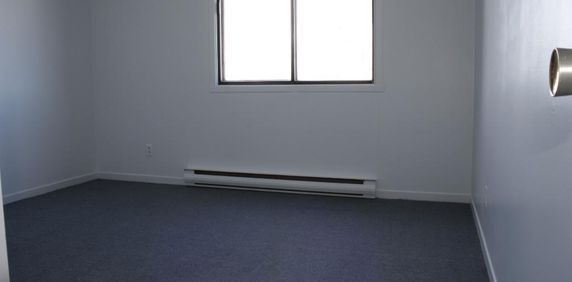 A Valleyfield – Grand, beau, propre et tranquille 4-1/2 , Libre 1 AVRIL - Photo 2