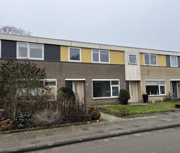 Maison mitoyenne Benzweg 30, Oudeschoot - À Louer - Foto 1