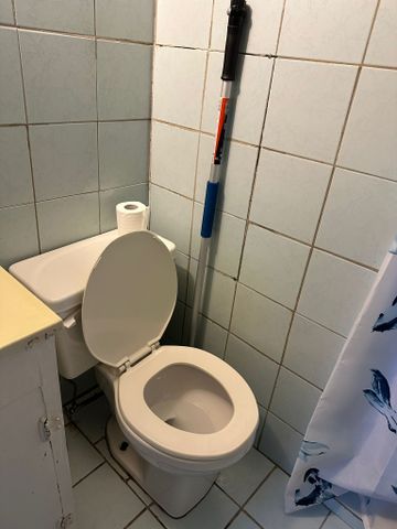 For Lease - 46 Elm Grove Avenue, Richmond Hill, Ontario - Photo 3