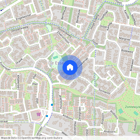 De Essen, 7577 CL, Duivekervel, Oldenzaal