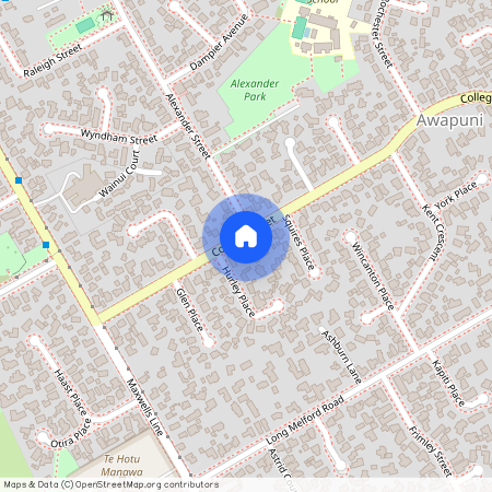 34 College Street, Awapuni, Palmerston North City