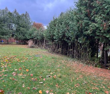 For Lease - 43 Maple Grove Avenue Unit# Basement, Richmond Hill, On... - Photo 2