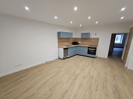 Location Appartement 3 pièces 62m² PONT DE VEYLE 01290 - Photo 3