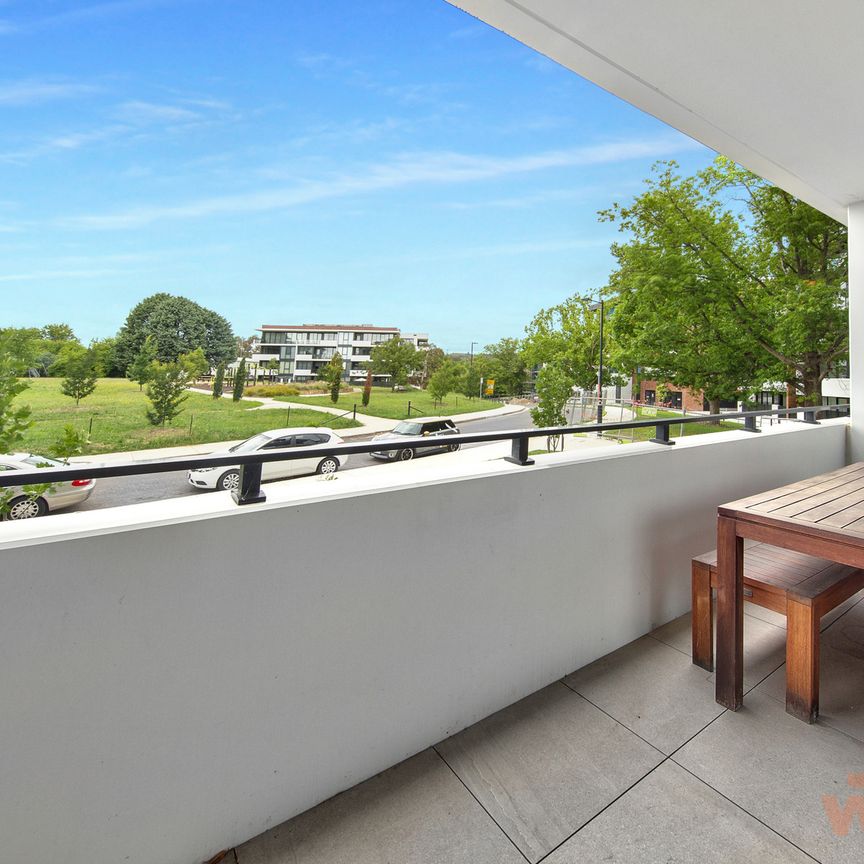 29/7 Light Street, Griffith ACT 2603 - Apartment For Rent | Domain - Photo 1