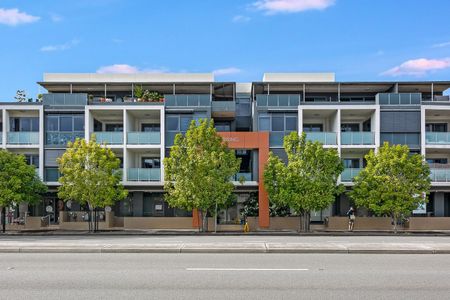 23/1271 Botany Road, Mascot NSW 2020 - Apartment For Rent | Domain - Photo 3