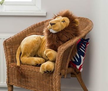 34 Avoniel Parade, Belfast, BT5 4SH - Photo 5