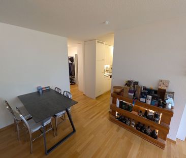 2 ROOM APARTMENT IN LUCERNE, FURNISHED, TEMPORARY - Photo 3