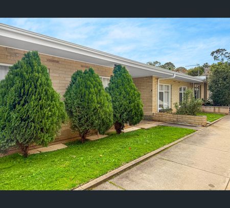 2/71 Ormond Avenue, Daw Park, SA 5041 - Photo 4