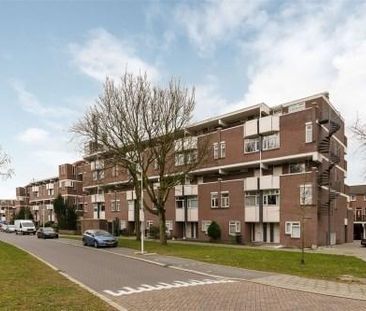 Hollandsch Diep 0ong, 1509 Zaandam, Nederland - Foto 1