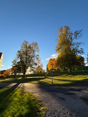 Axvägen, Sundsvall - Foto 1