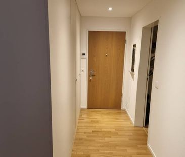 Nachmieter gesucht! Moderne 2.5-Zimmer-Wohnung mit Balkon in Emmen - Foto 1