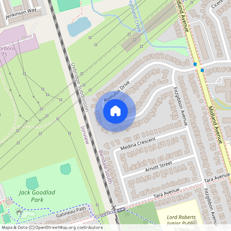 31 Romulus Drive Unit# Main, Toronto