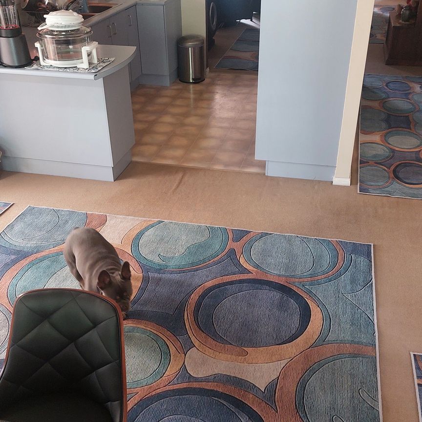 Glenmore Park - Photo 1