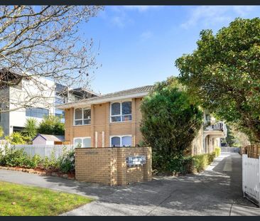 Open plan haven in a tranquil tree-lined pocket & own private entry - Photo 6