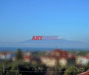 Μονοκατοικία για ενοικίαση Κάτω Σχολάρι (Μίκρα) - Φωτογραφία 1