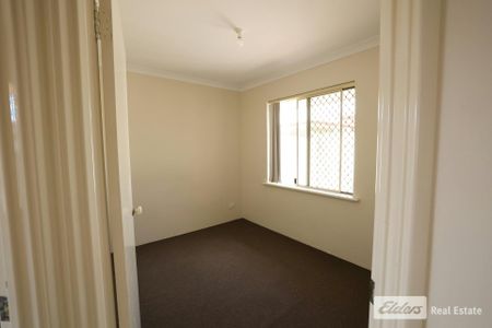 Neat and Tidy - Photo 2