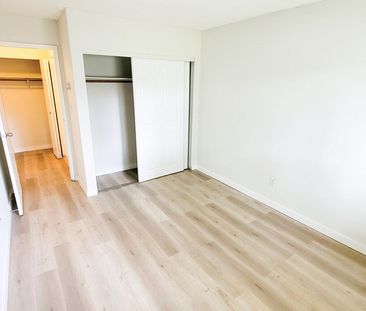 Pinetree Apartments - Photo 1
