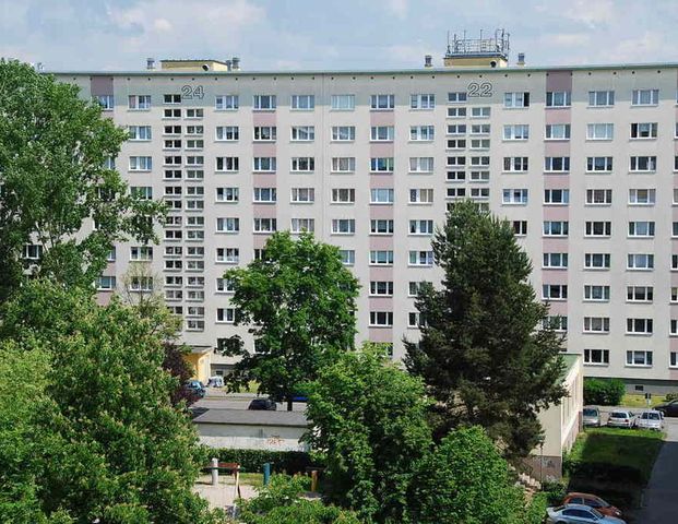 2-Raum-Wohnung - Foto 1