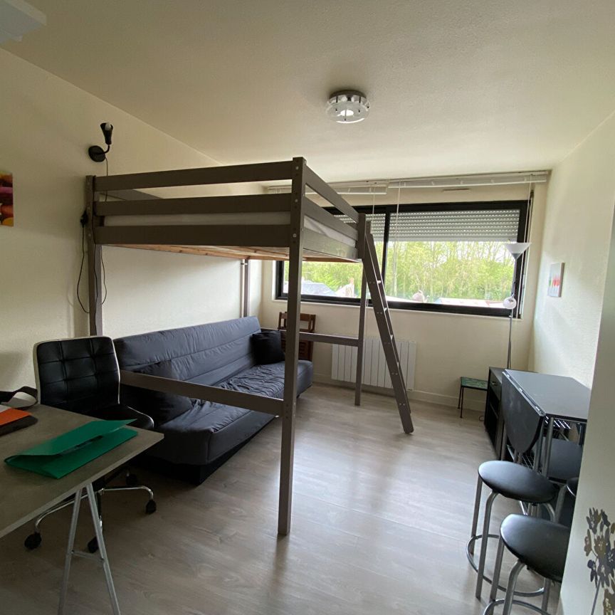 Location Appartement 1 pièce 18m² - Photo 1