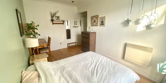 CHAMBRE Dans Grand Appart + Terrasse - Photo 3