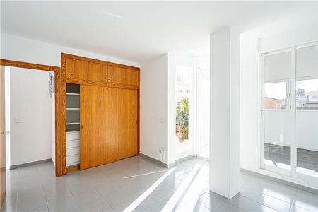 Palma de Mallorca, Balearic Islands 07013 - Photo 4