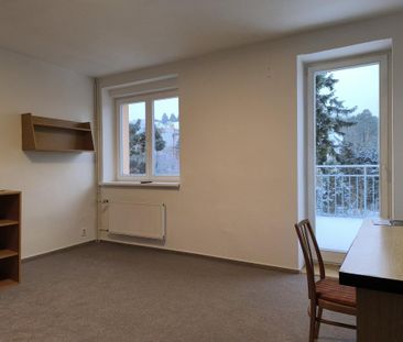 Pronájem bytu pokoj 21 m2 - Fotografie 6