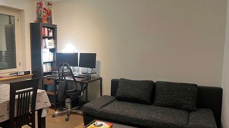 2½ Zimmer-Wohnung in Zürich - Kreis 7, möbliert, auf Zeit - Foto 2