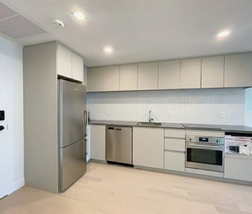 Rue Jeanne-Mance, H2X 1M1, Montréal - Photo 6