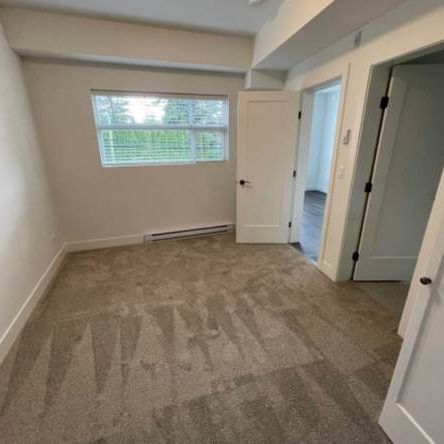 Brand new 2 bed 2 bath unit located in Central Abbotsford - Photo 4