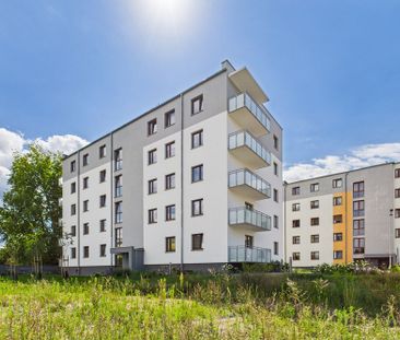 NOWE M3 do wynajęcia – 50.88 m² z parkingiem - Photo 6