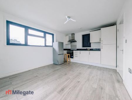 1 bedroom flat to rent - Photo 4
