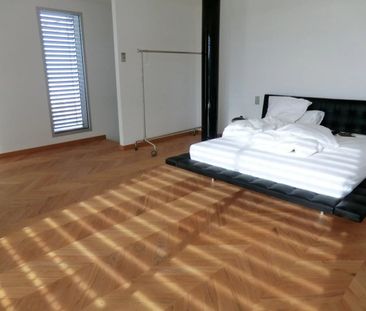 Contemporary villa in Vésenaz - Photo 5