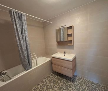 Location Appartement 2 pièces Meublé 73m² L HAY LES ROSES 94240 - Photo 5